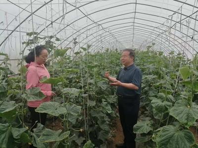 農(nóng)融專企大院 激活鄉(xiāng)村振興新動能的科技引擎